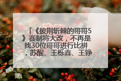 《披荆斩棘的哥哥5》赛制将大改，不再是找30位哥哥进行比拼，苏醒、王栎鑫、王铮亮、张远等多名男团选手被曝将参加