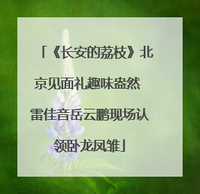 《长安的荔枝》北京见面礼趣味盎然 雷佳音岳云鹏现场认领卧龙凤雏
