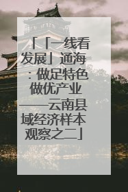 「一线看发展」通海：做足特色 做优产业——云南县域经济样本观察之二