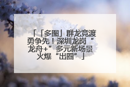 「多图」群龙竞渡勇争先！深圳龙岗“龙舟+”多元新场景火爆“出圈”