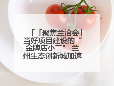 「聚焦兰洽会」当好项目建设的“金牌店小二” 兰州生态创新城加速推进项目建设