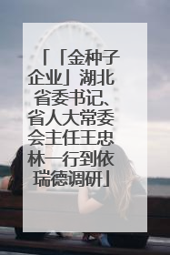 「金种子企业」湖北省委书记、省人大常委会主任王忠林一行到依瑞德调研
