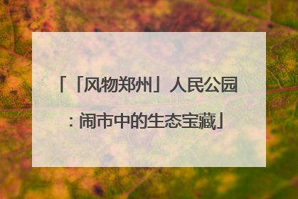 「风物郑州」人民公园：闹市中的生态宝藏