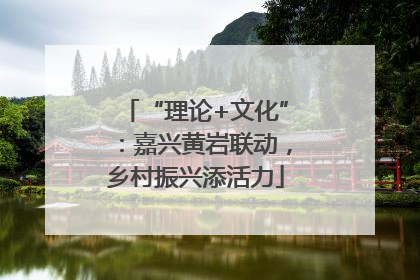 “理论+文化”：嘉兴黄岩联动，乡村振兴添活力