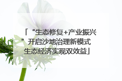 “生态修复+产业振兴”开启沙地治理新模式 生态经济实现双效益