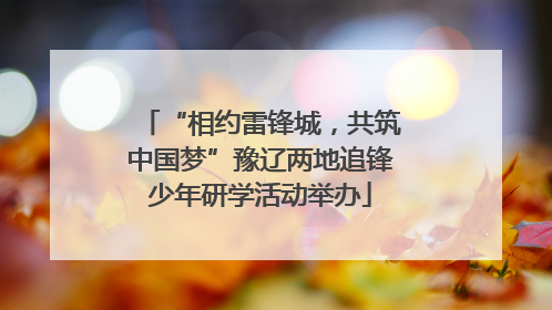 “相约雷锋城，共筑中国梦”豫辽两地追锋少年研学活动举办