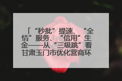 “秒批”提速、“全情”服务、“信用”生金——从“三级跳”看甘肃玉门市优化营商环境的进阶之路