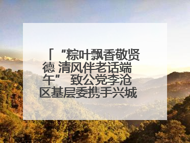 “粽叶飘香敬贤德 清风伴老话端午” 致公党李沧区基层委携手兴城路街道四流北路社区开展端午节主题活动