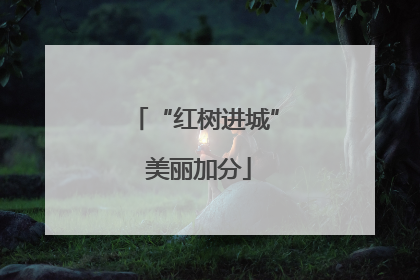 “红树进城” 美丽加分