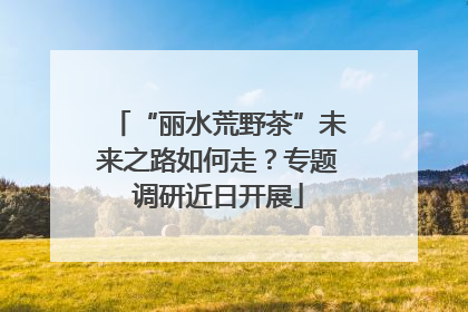 “丽水荒野茶”未来之路如何走？专题调研近日开展