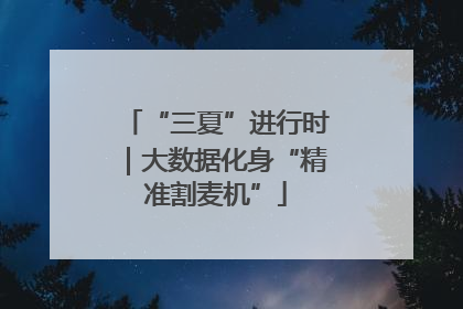“三夏”进行时｜大数据化身“精准割麦机”