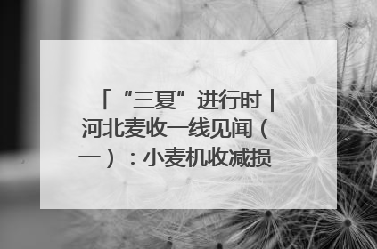 “三夏”进行时｜河北麦收一线见闻（一）：小麦机收减损“竞技” 农机高手麦田“过招”