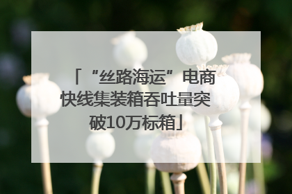 “丝路海运”电商快线集装箱吞吐量突破10万标箱