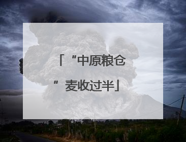 “中原粮仓”麦收过半