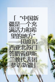 “中国新疆是一个充满活力和希望的地方”——印度尼西亚北苏门答腊省伊斯兰教代表团参访新疆