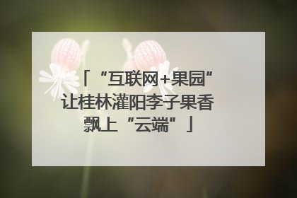 “互联网+果园”让桂林灌阳李子果香飘上“云端”