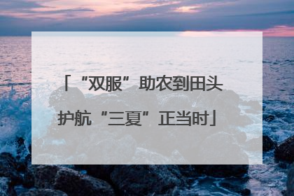 “双服”助农到田头 护航“三夏”正当时