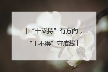 “十支持”有方向，“十不得”守底线