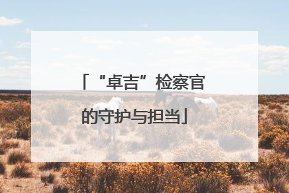 “卓吉”检察官的守护与担当