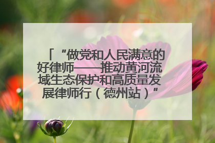 “做党和人民满意的好律师——推动黄河流域生态保护和高质量发展律师行（德州站）”活动成功举办