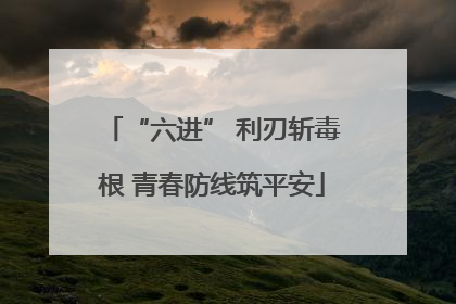 “六进” 利刃斩毒根 青春防线筑平安
