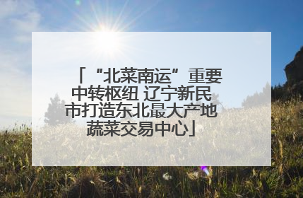 “北菜南运”重要中转枢纽 辽宁新民市打造东北最大产地蔬菜交易中心