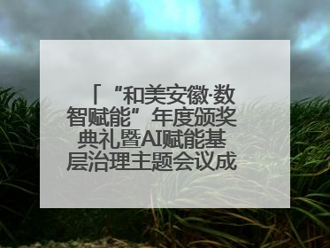 “和美安徽·数智赋能”年度颁奖典礼暨AI赋能基层治理主题会议成功举办