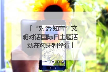 “对话·知音”文明对话国际日主题活动在匈牙利举行