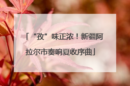 “孜”味正浓！新疆阿拉尔市奏响夏收序曲
