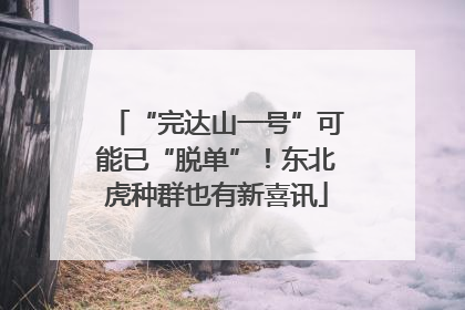 “完达山一号”可能已“脱单”！东北虎种群也有新喜讯