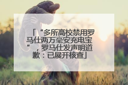 “多所高校禁用罗马仕两万毫安充电宝”，罗马仕发声明道歉：已展开核查