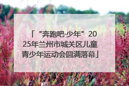“奔跑吧·少年”2025年兰州市城关区儿童青少年运动会圆满落幕