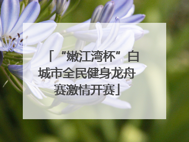 “嫩江湾杯”白城市全民健身龙舟赛激情开赛