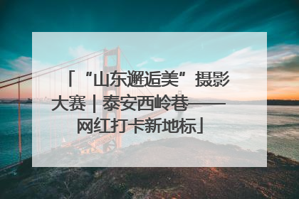 “山东邂逅美”摄影大赛｜泰安西岭巷——网红打卡新地标
