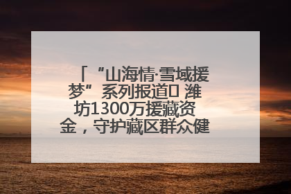 “山海情·雪域援梦”系列报道⑪ 潍坊1300万援藏资金，守护藏区群众健康“最后一公里”