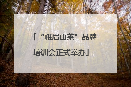 “峨眉山茶”品牌培训会正式举办