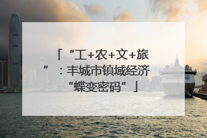 “工+农+文+旅”：丰城市镇域经济“蝶变密码”