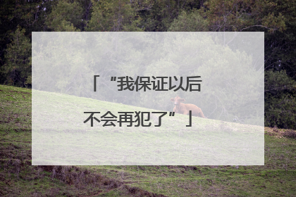 “我保证以后不会再犯了”