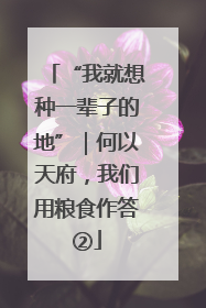 “我就想种一辈子的地”｜何以天府，我们用粮食作答②