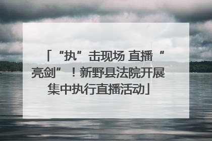 “执”击现场 直播“亮剑”！新野县法院开展集中执行直播活动