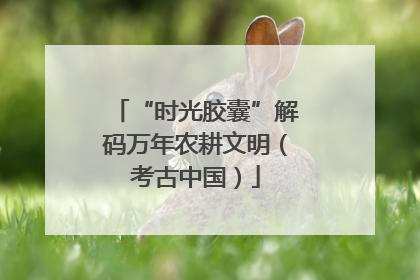 “时光胶囊”解码万年农耕文明（考古中国）