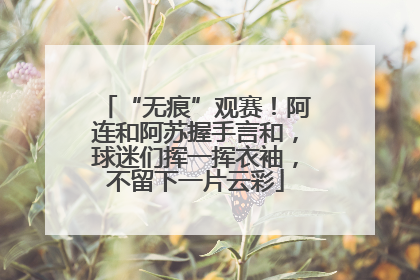 “无痕”观赛！阿连和阿苏握手言和，球迷们挥一挥衣袖，不留下一片云彩