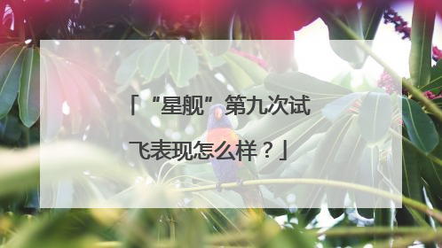 “星舰”第九次试飞表现怎么样？