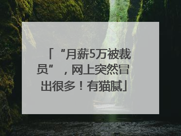 “月薪5万被裁员”，网上突然冒出很多！有猫腻