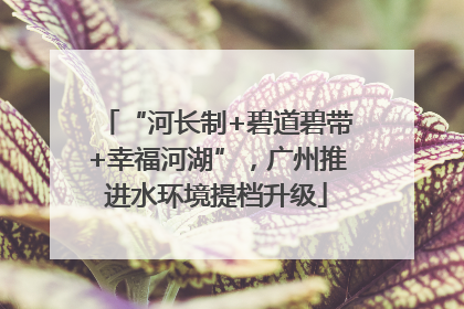 “河长制+碧道碧带+幸福河湖”，广州推进水环境提档升级