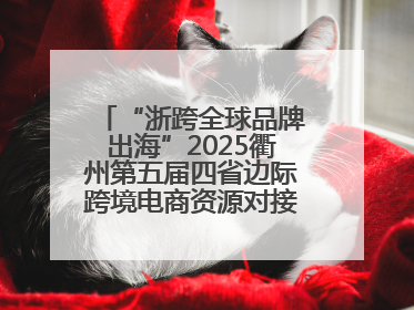 “浙跨全球品牌出海”2025衢州第五届四省边际跨境电商资源对接活动成功举办