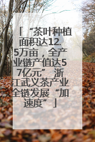 “茶叶种植面积达12.5万亩，全产业链产值达57亿元” 浙江武义茶产业全链发展“加速度”