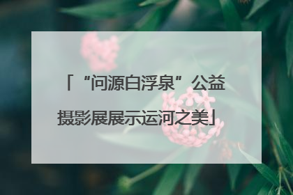 “问源白浮泉”公益摄影展展示运河之美