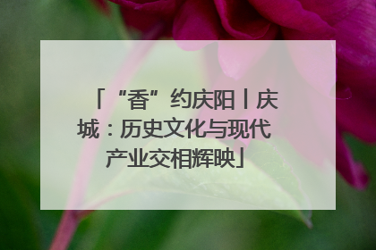 “香”约庆阳丨庆城：历史文化与现代产业交相辉映