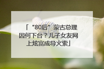 “80后”蒙古总理因何下台？儿子女友网上炫富成导火索